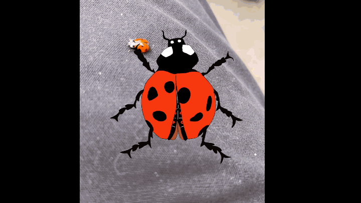 a video of Logan's mom holding a leaf with a ladybug on it, with a 2D animation of a ladybug layered on top, before the ladybug flies off.