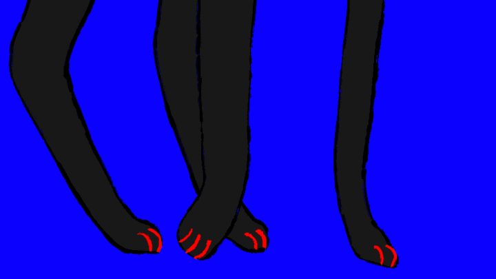 a 2D animation of a black cat called Lucky, with bright red glasses and facial features, with animated sparkles at his feet and collar before showing him miaowing at the camera.