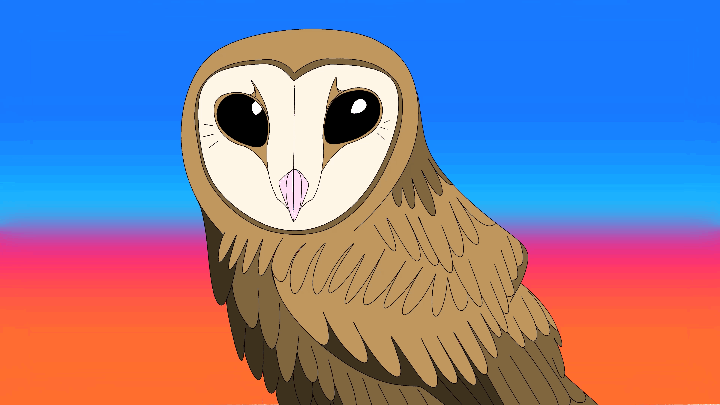 a 2D animation of an barn owl rotating their head 180 degrees and then back again. on a deep blue and orange-pink background.