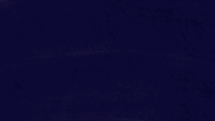 a 2D aniamtion of a monitor lizard at night, pointing to and then watching a meteor streak across the sky.