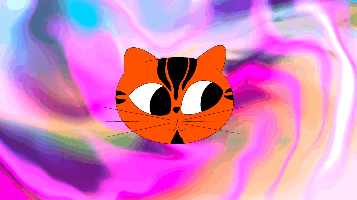 a 2D animation of a rotating orange tomcat's head, while his eyes dart happily around.
